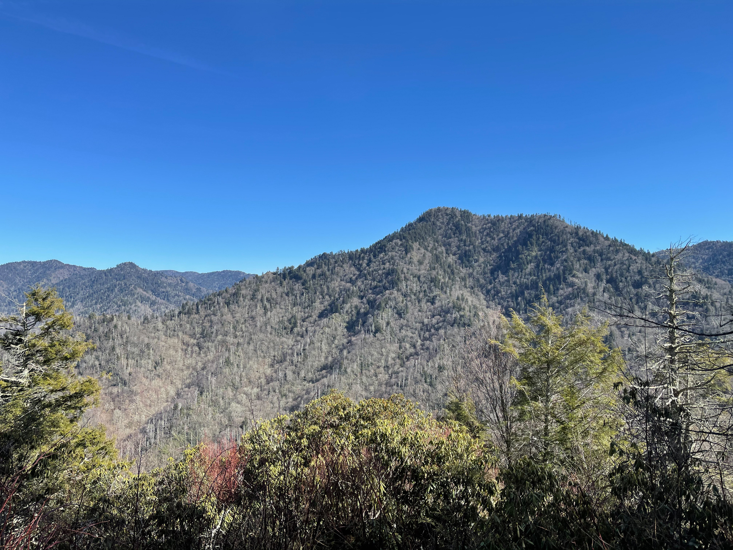 View from the top of Chimney Tops Trail